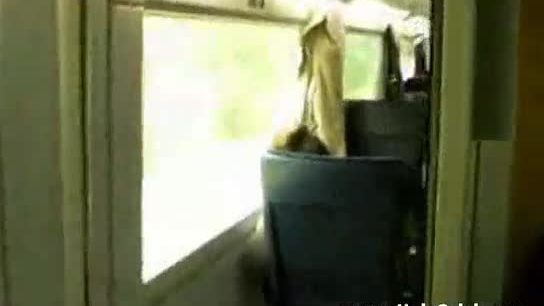 Big titted milf fucks in train